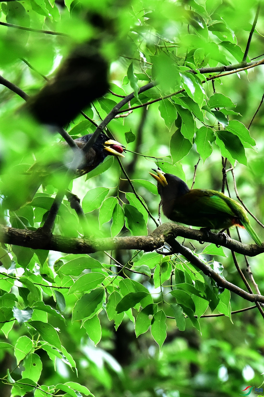 DSC_0760.JPG