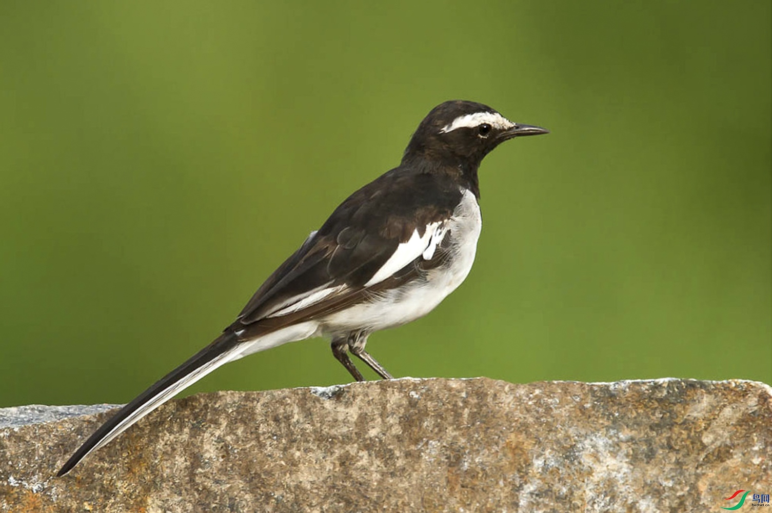 66-  ����n�_-Krishna Mohan.JPG