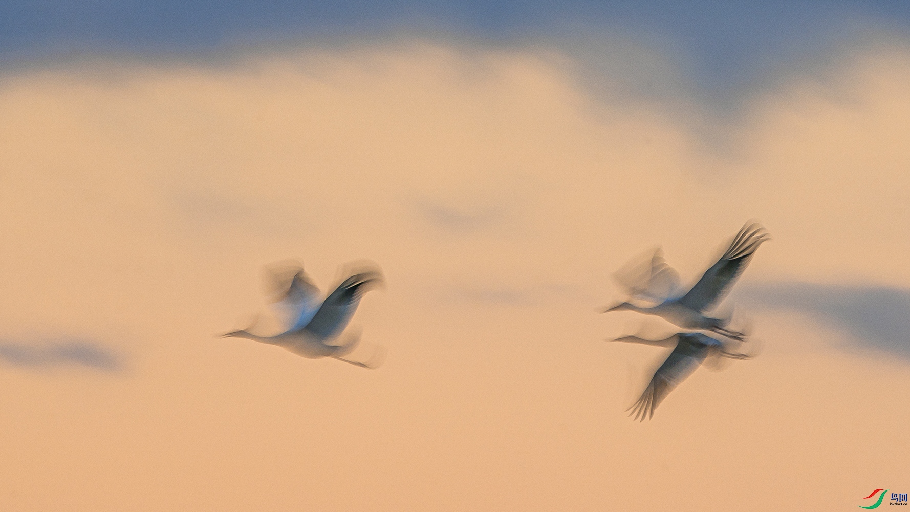 54����΢��ʮ������׹��� ���İ׺�.JPG