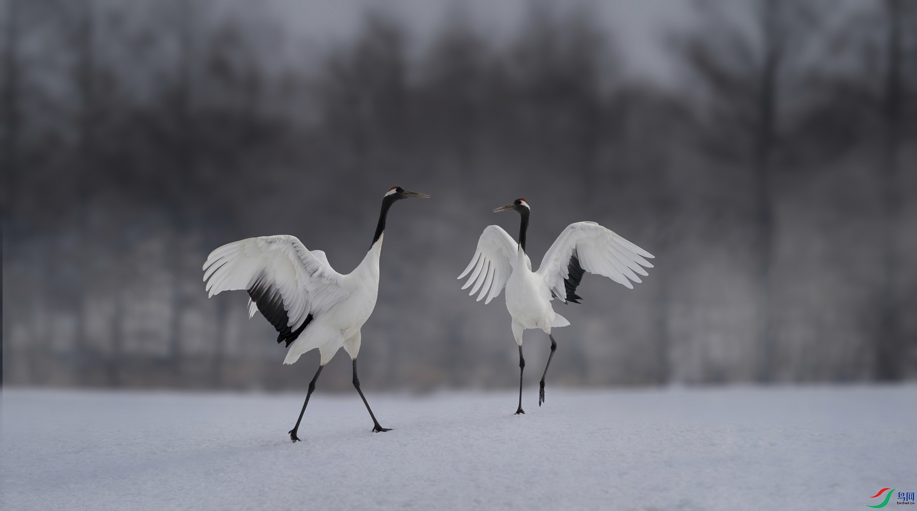 159���� (2).JPG