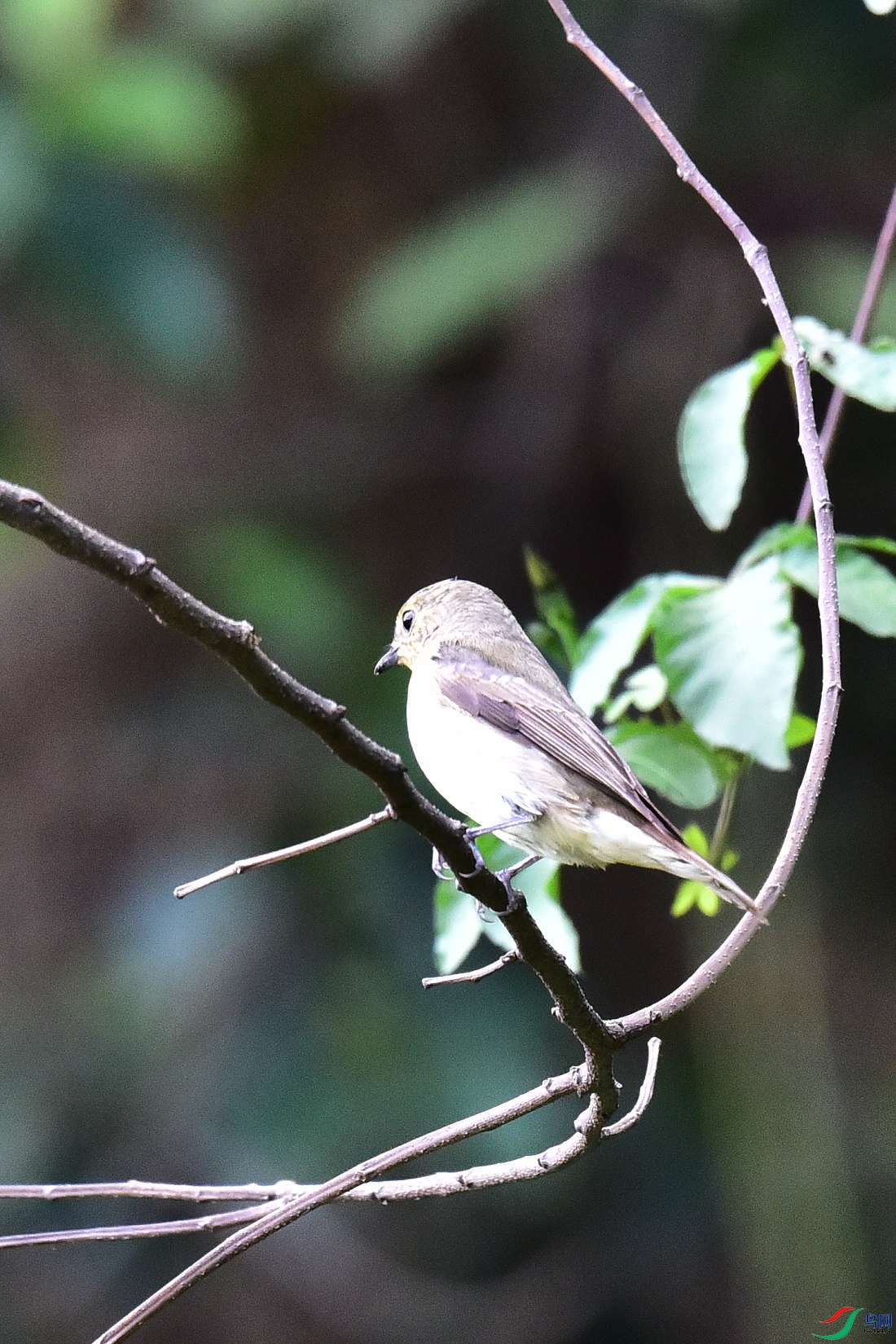 DSC_0561.JPG