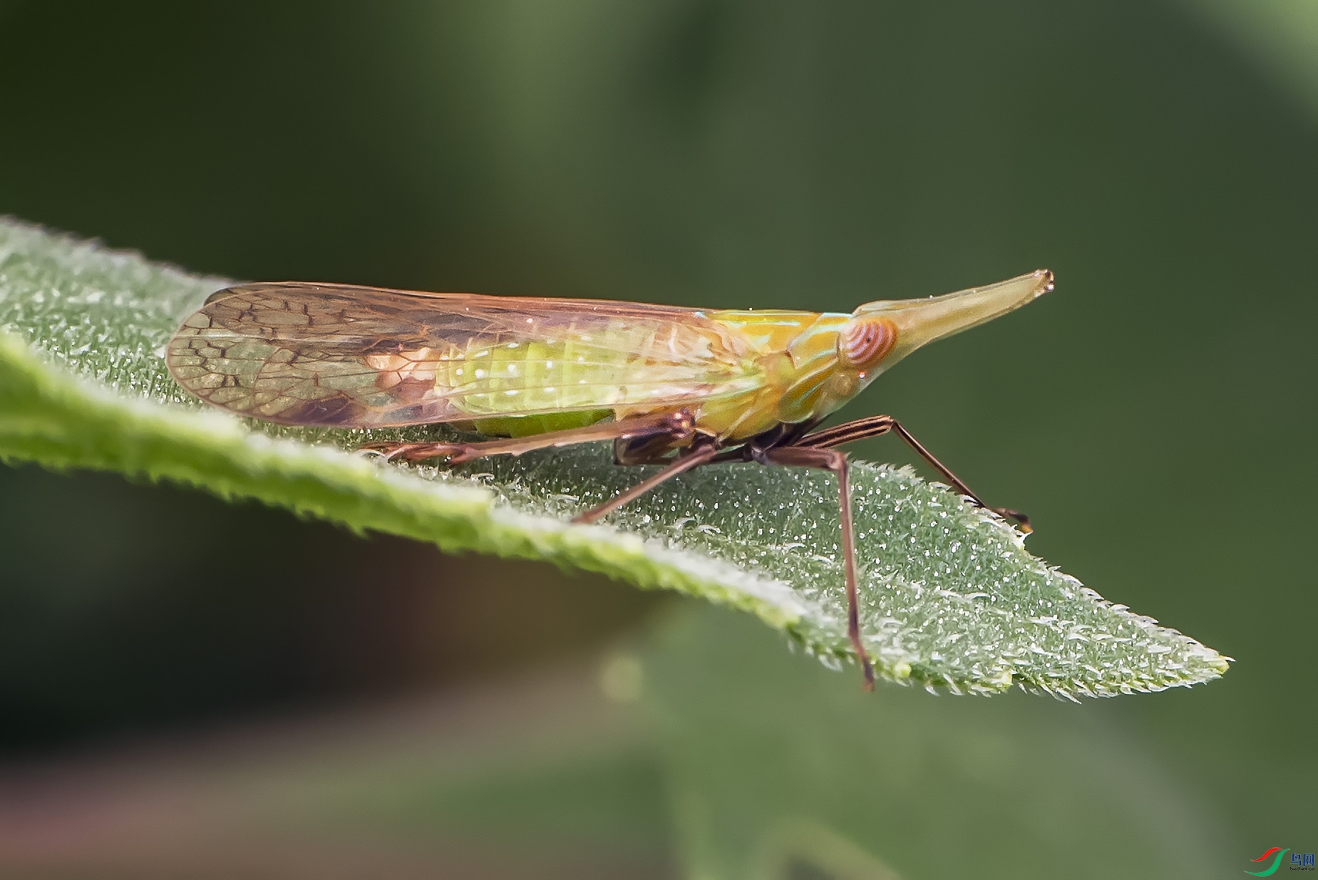 DSC_8662.jpg