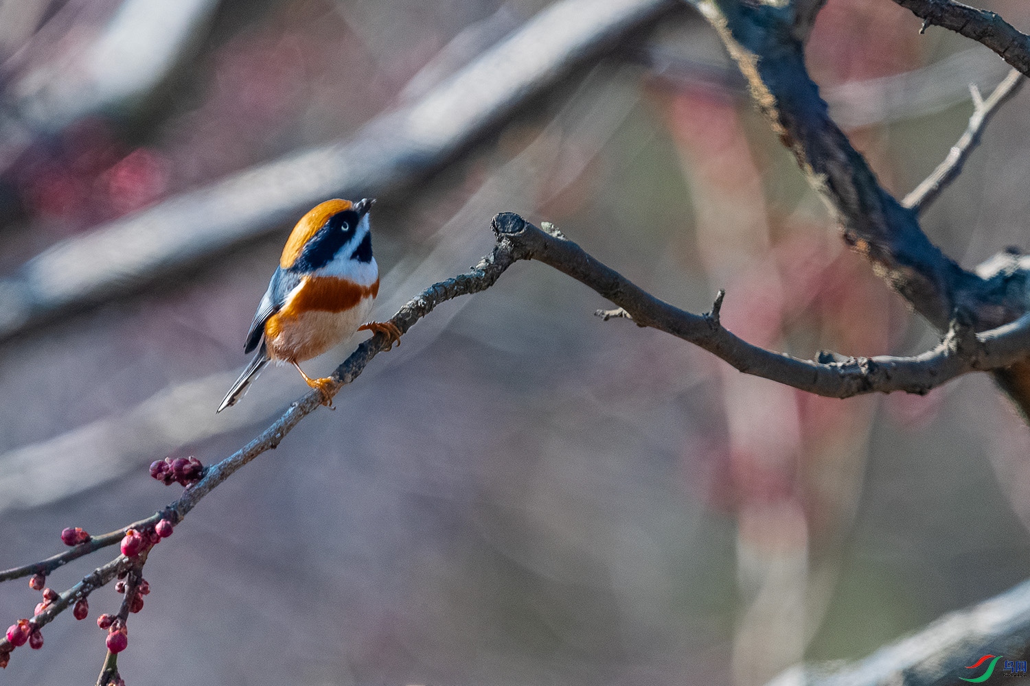 DSC_5084-2.jpg