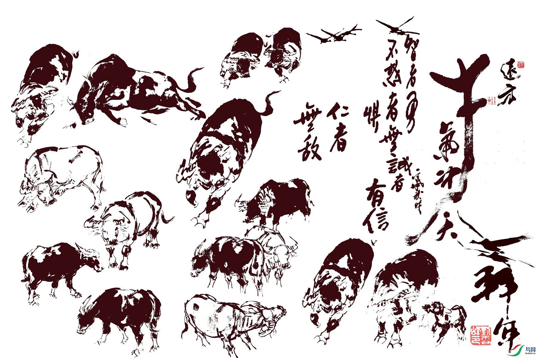 IMG_E7218 ����_����_����.jpg