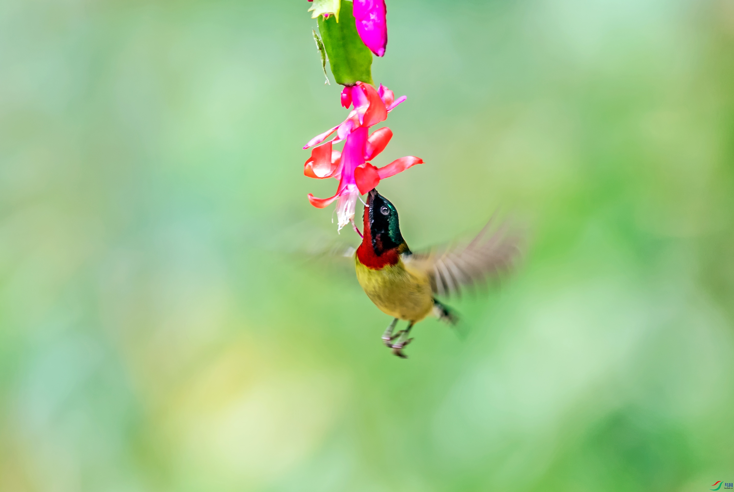 _DSC0010_��ͼ��.jpg--1.jpg