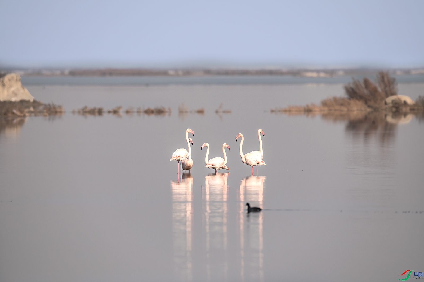 DSC_0488.jpg1.jpg