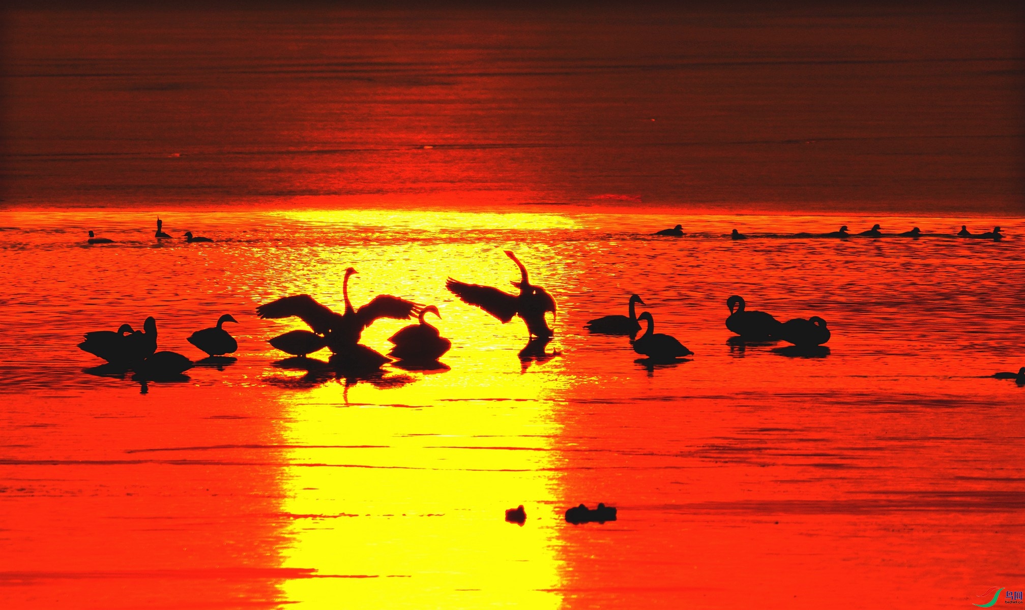 1 DSC07943,_����.jpg