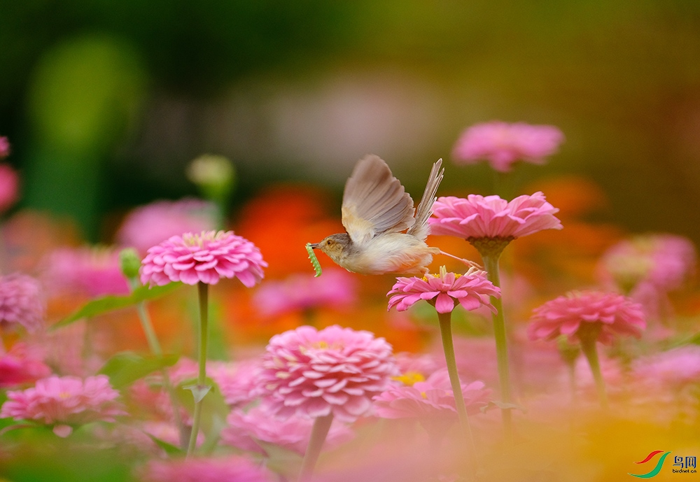 DSCF7254.1.jpg