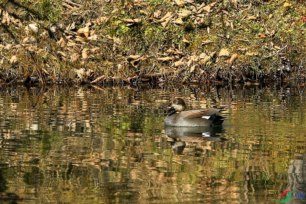 AB1I3825.JPG