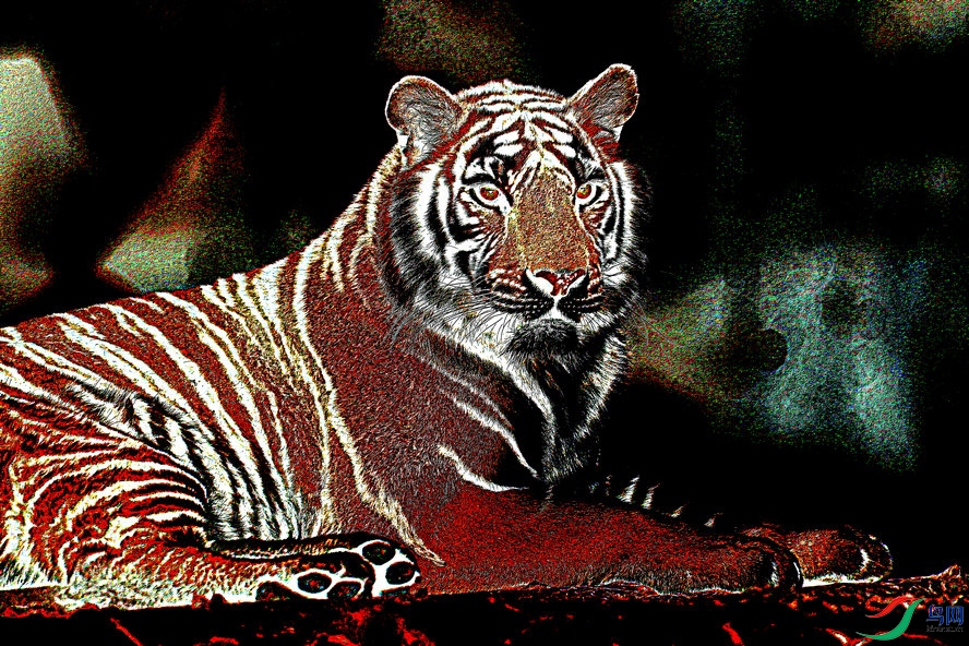 BW6I2143_����_����2_����.jpg