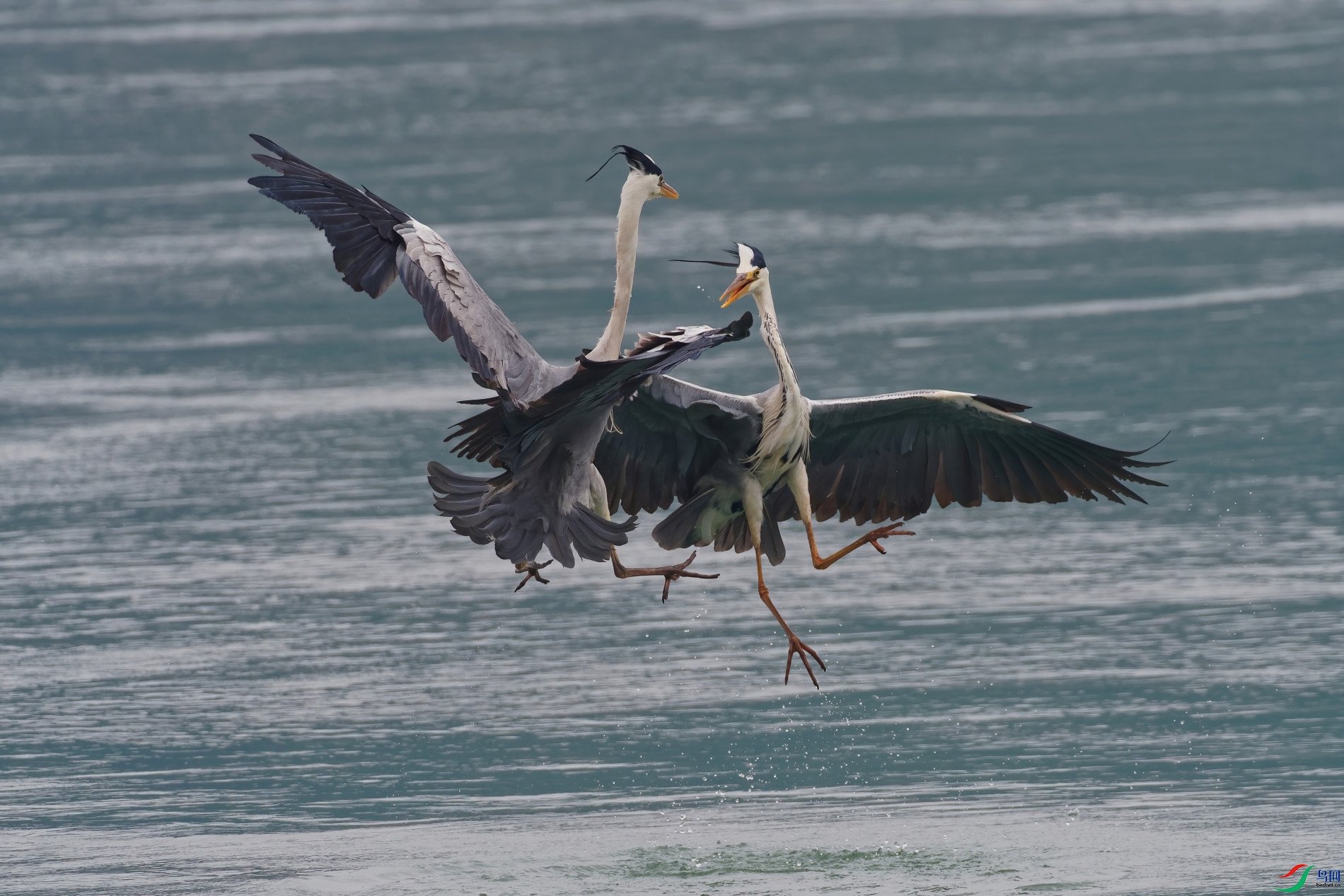 P5221196_DxO-d2.jpg