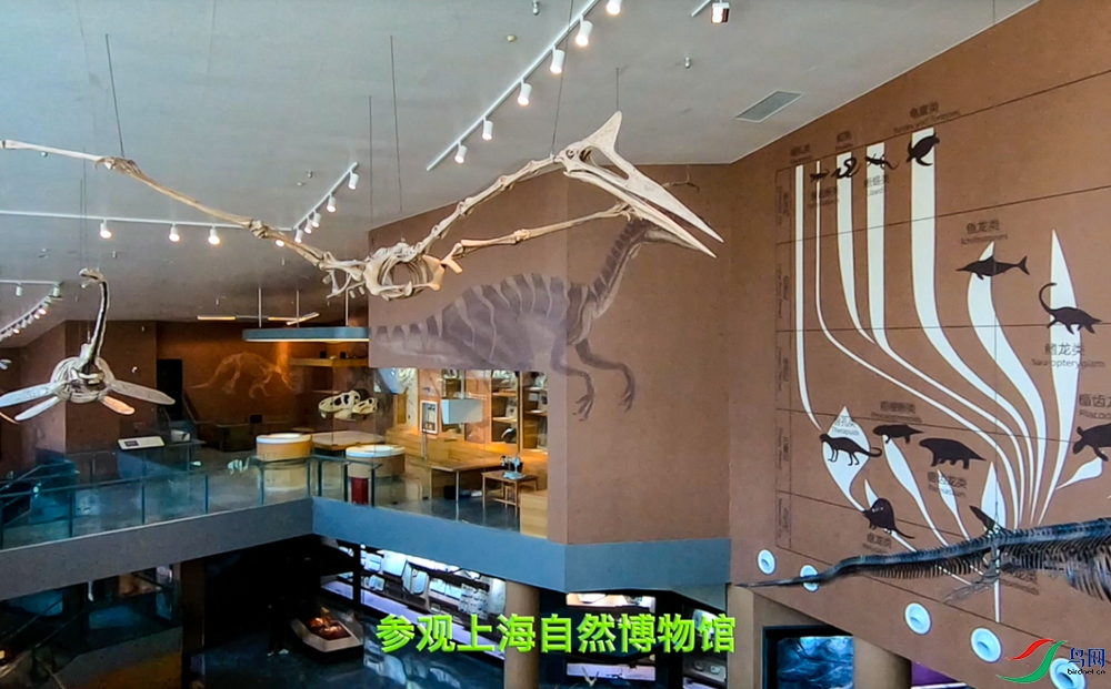 ����2021-02-08 ����8.29.47-1.jpg