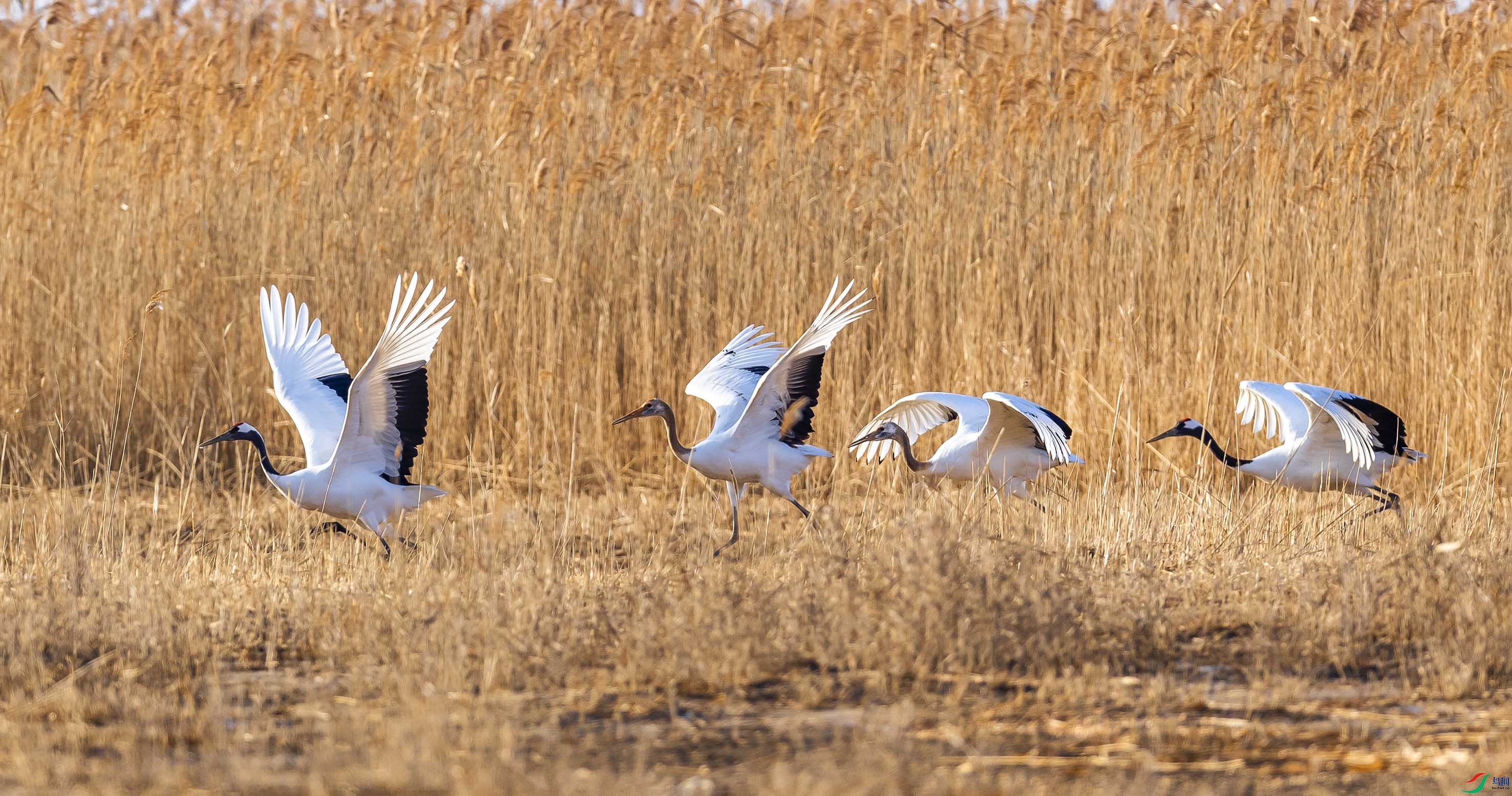 DSC_7344add.jpg