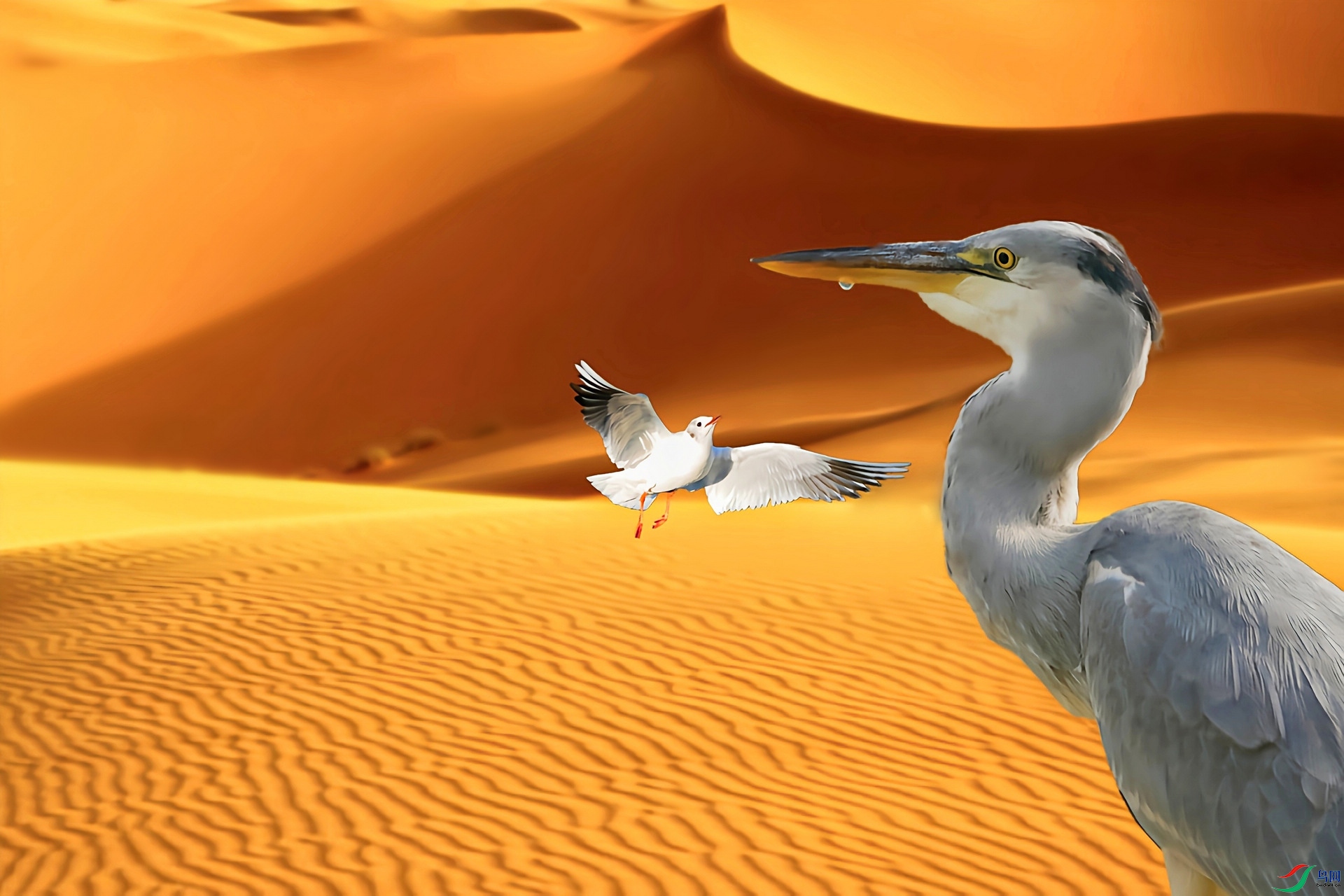 2021011.��ϧÿһ��ˮ