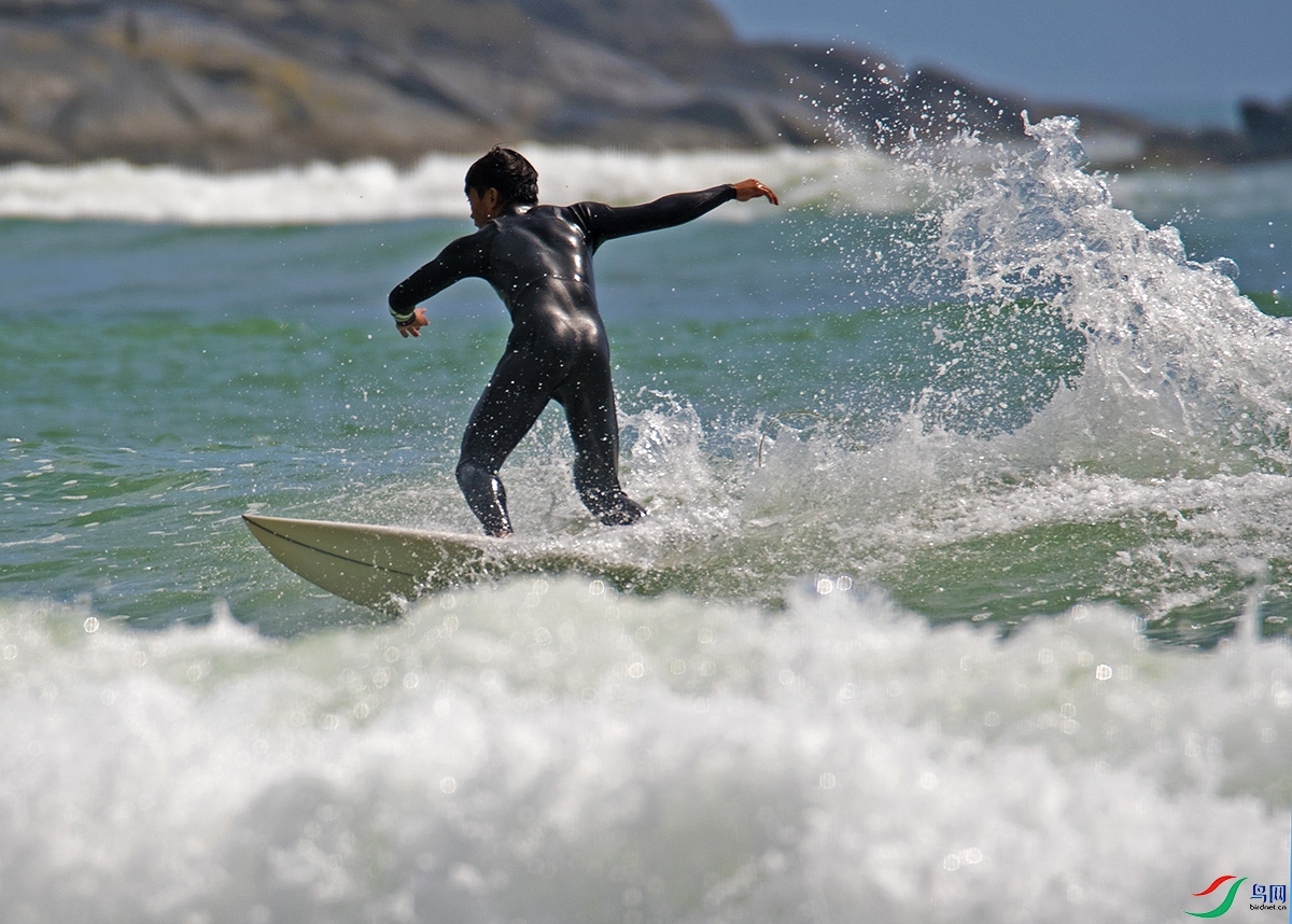 8DSC_7047a.jpg
