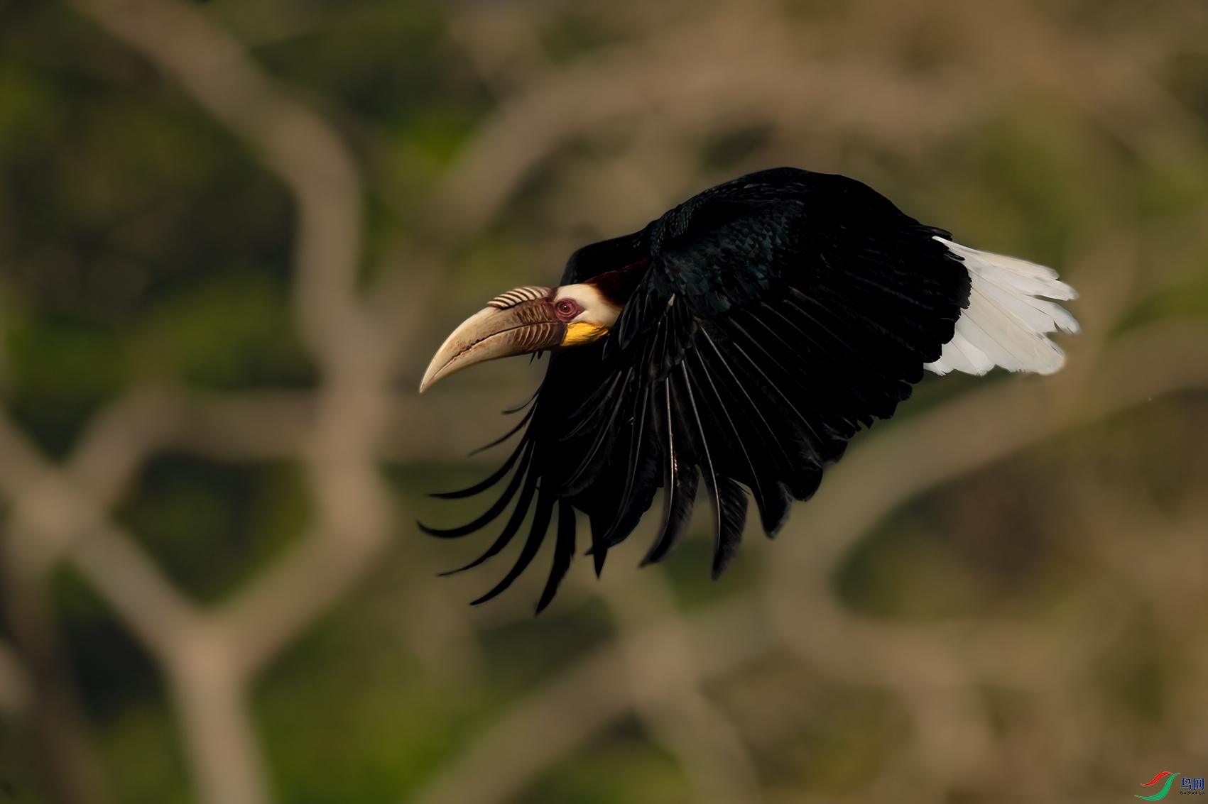 DSC_4042.jpg