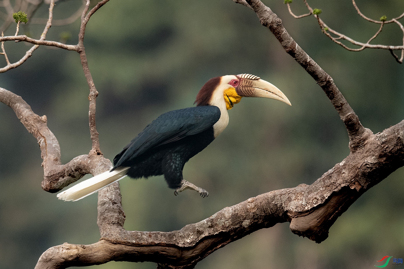 DSC_3565.jpg1.jpg
