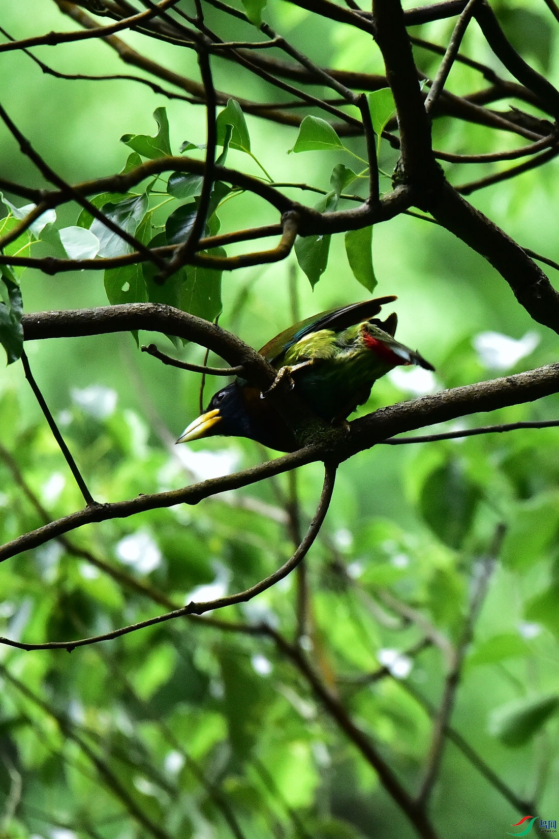 DSC_0774.JPG