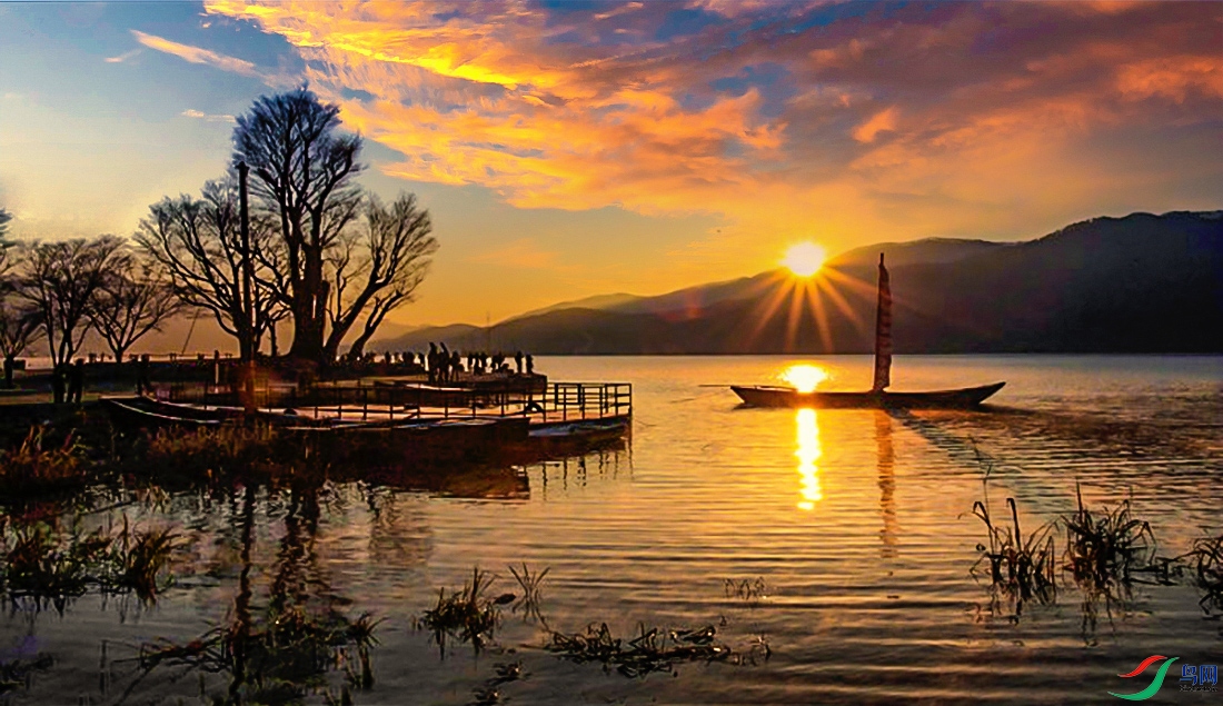 落日孤舟祝贺吉林大漠胡杨老师荣获首页综合精华