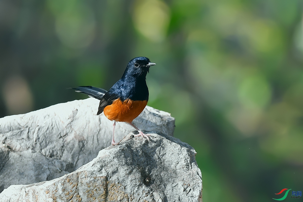 DSC_6540_DxOa.jpg