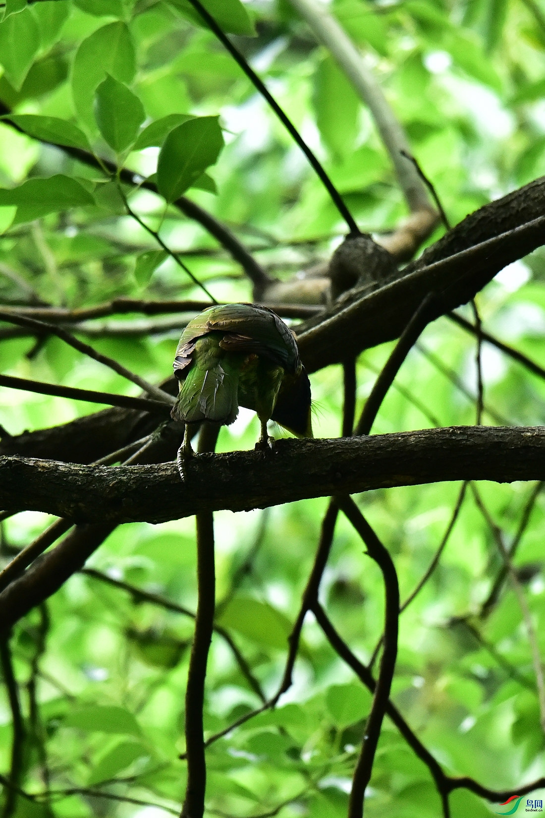 DSC_0776.JPG