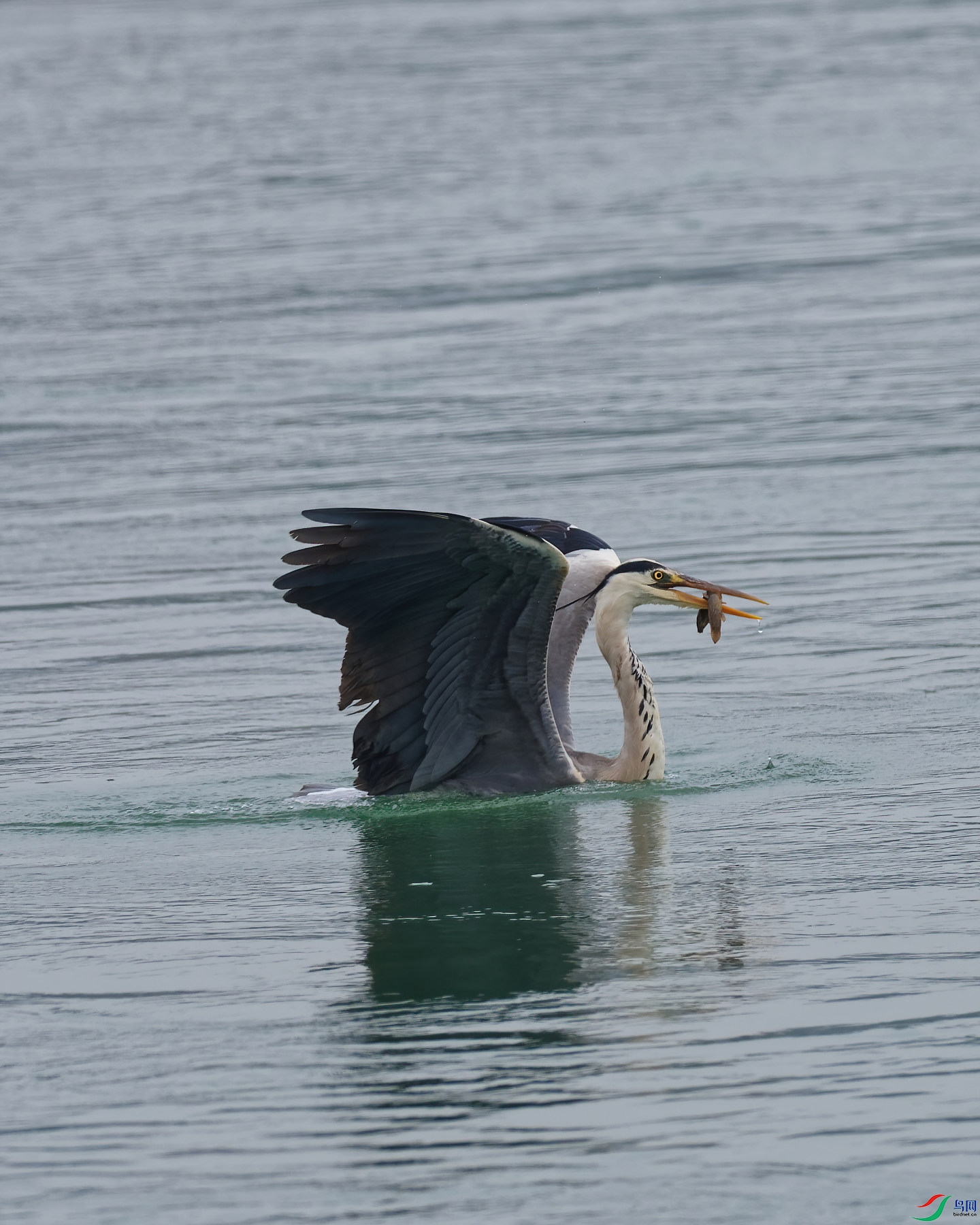 P5220705_DxO-d2.jpg