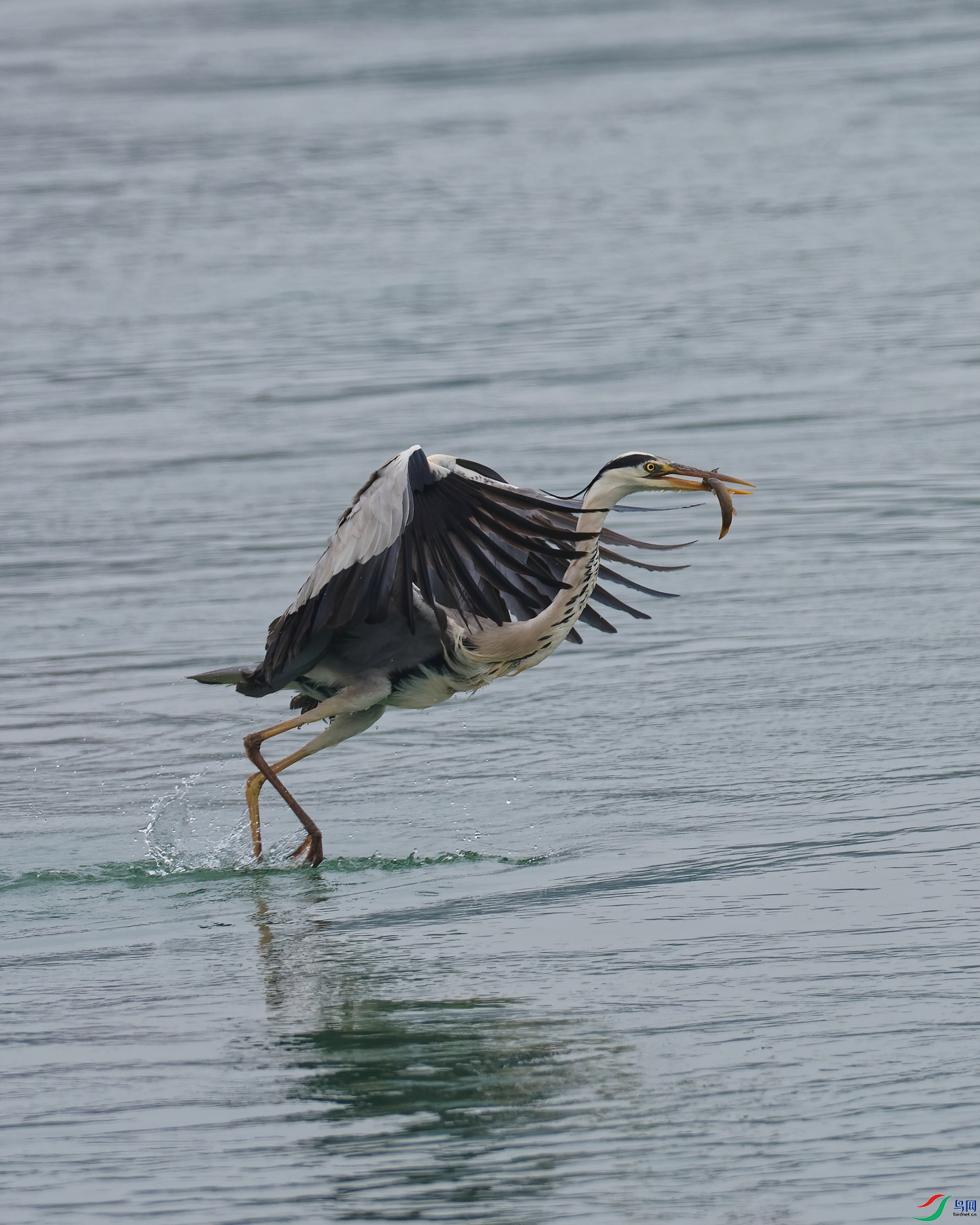 P5220708_DxO-d2.jpg