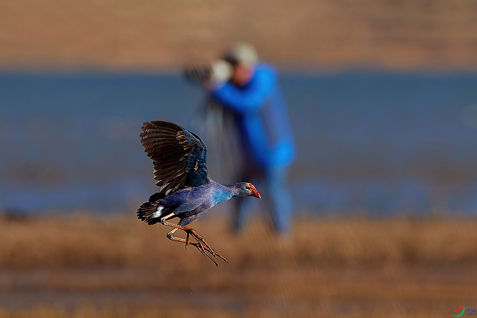 AV3I3986-1-gigapixel-width-6000px-1-zw.jpg