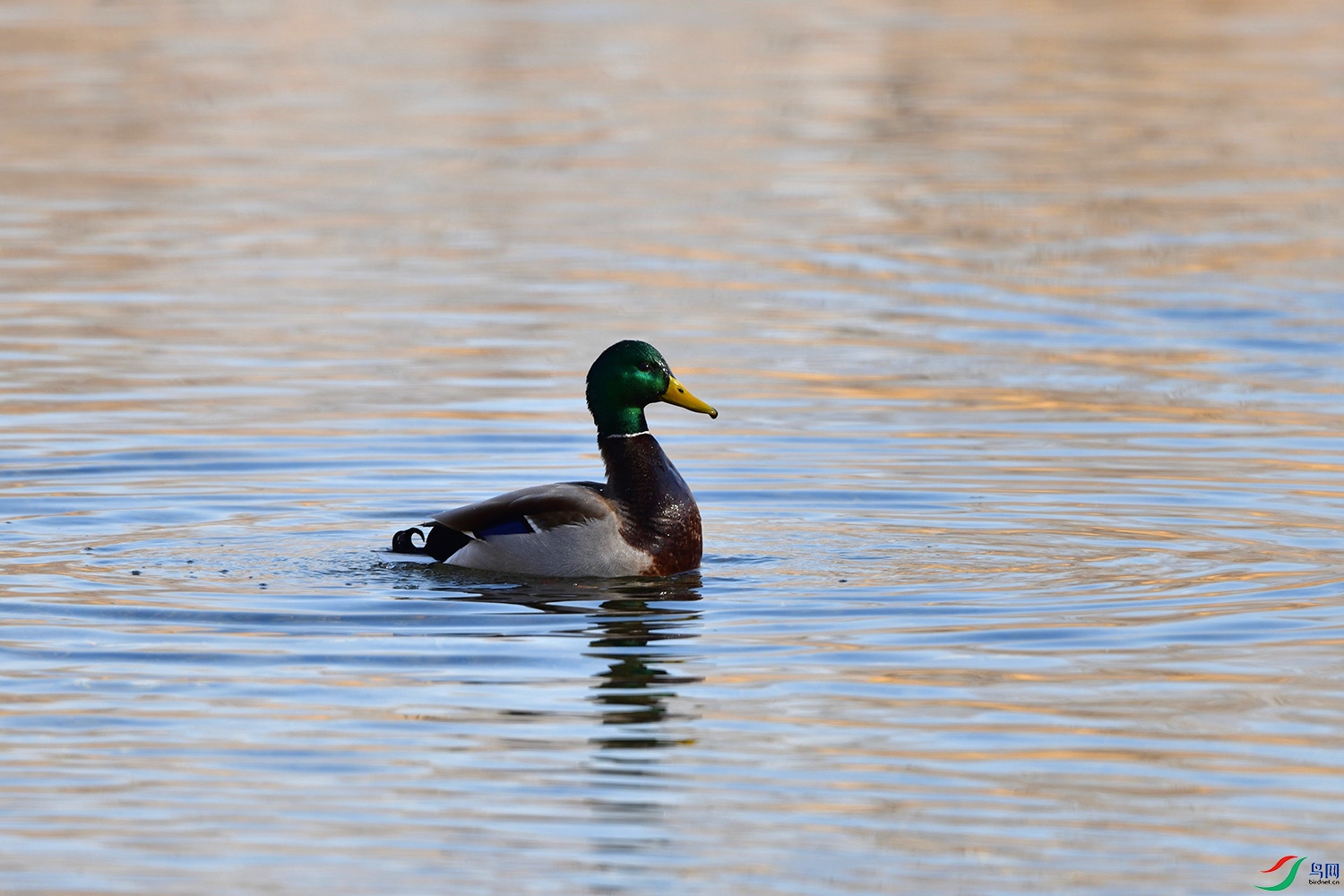 DSC_3067.jpg