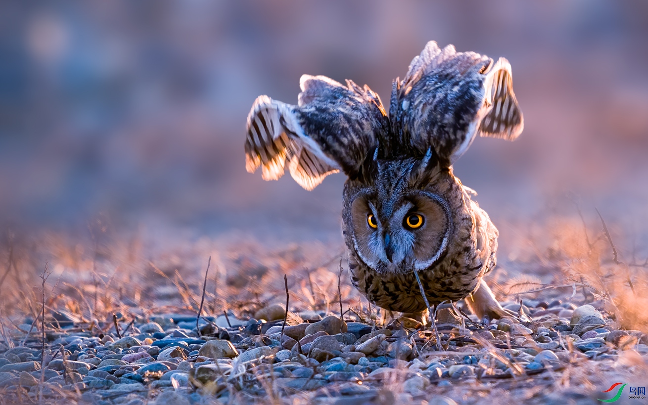 时刻准备着《荣获首页精华》