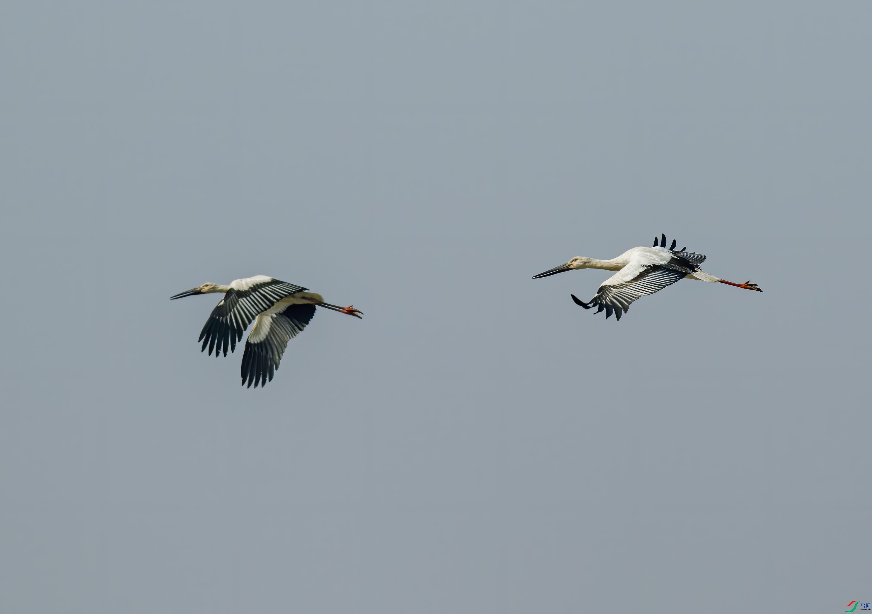 K7D03815.jpg
