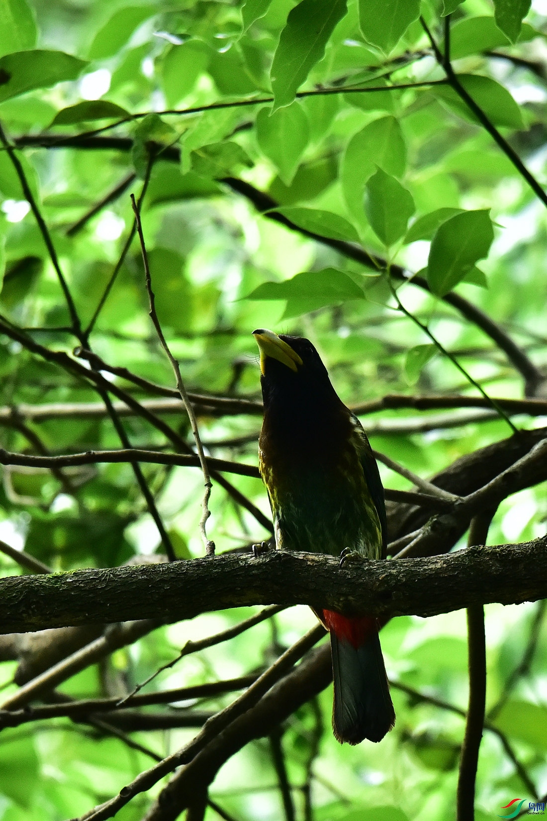 DSC_0780.JPG