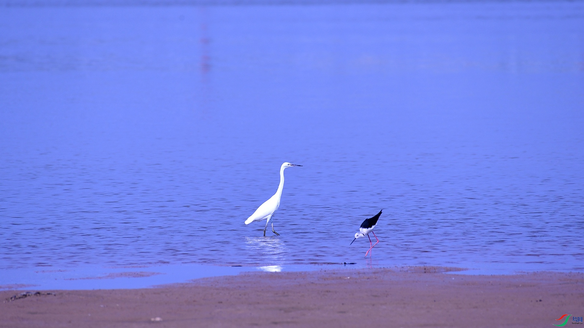 DSC_5662_����.jpg