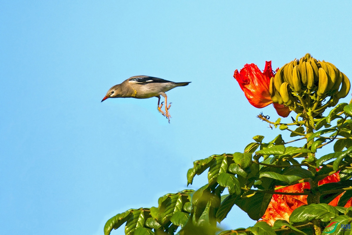 DSC_6839a4b.jpg