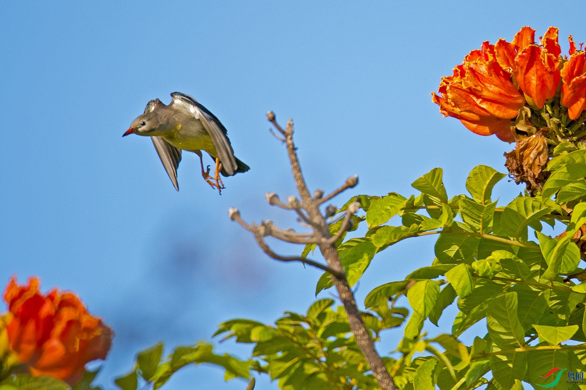DSC_6864a.jpg