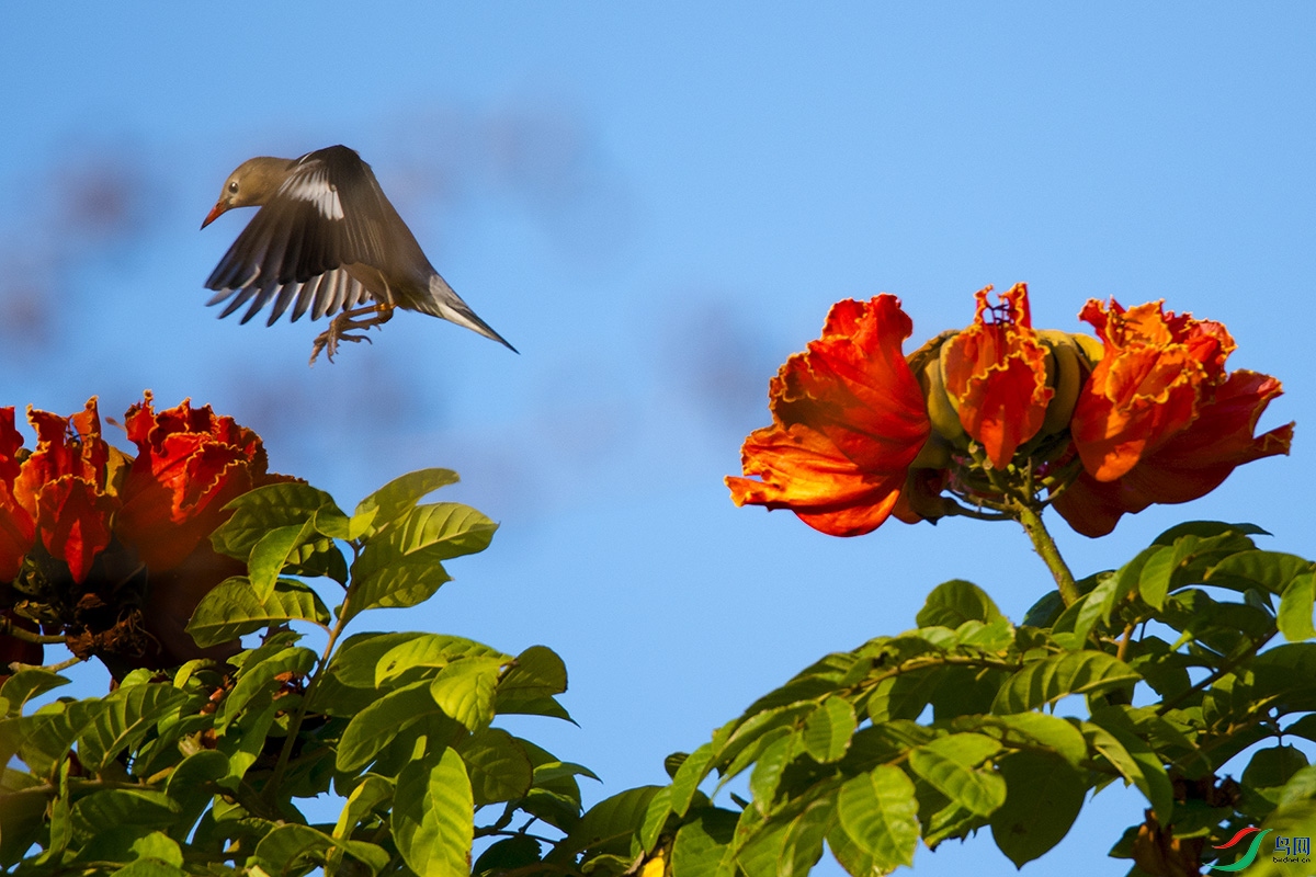 DSC_6878b2.jpg