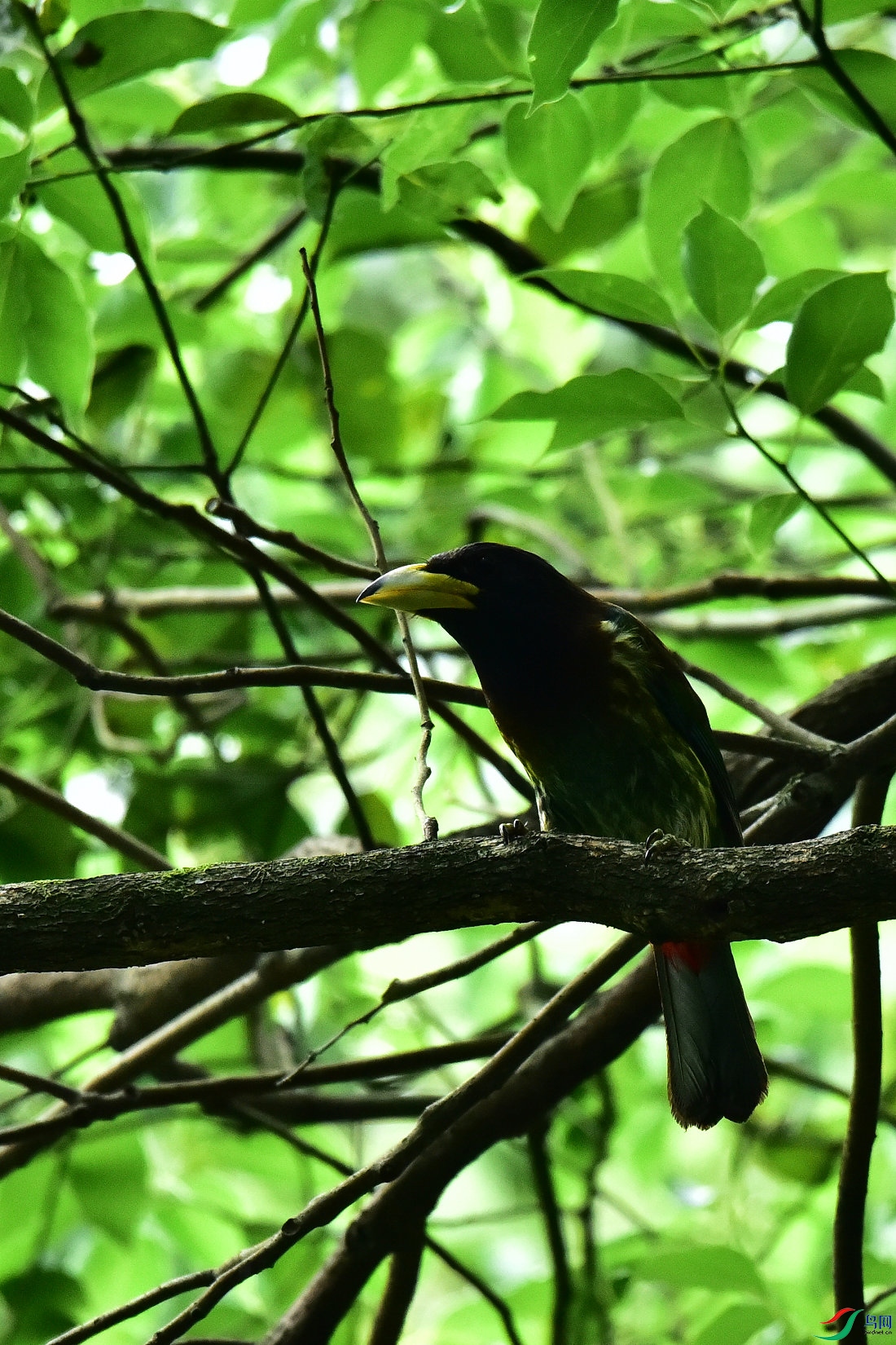 DSC_0781.JPG