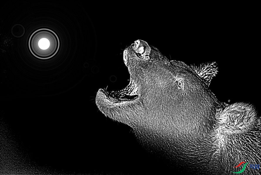 BW6I0094_����_����1_����.jpg