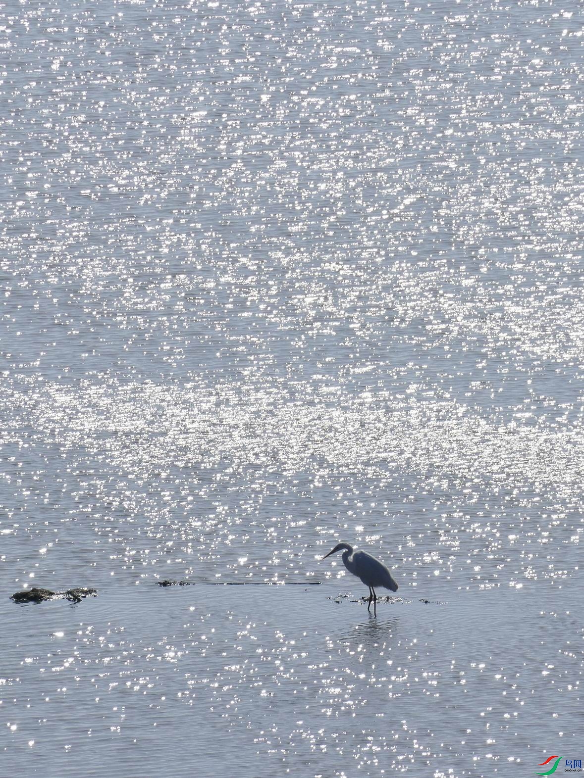 ������С P1120347.JPG