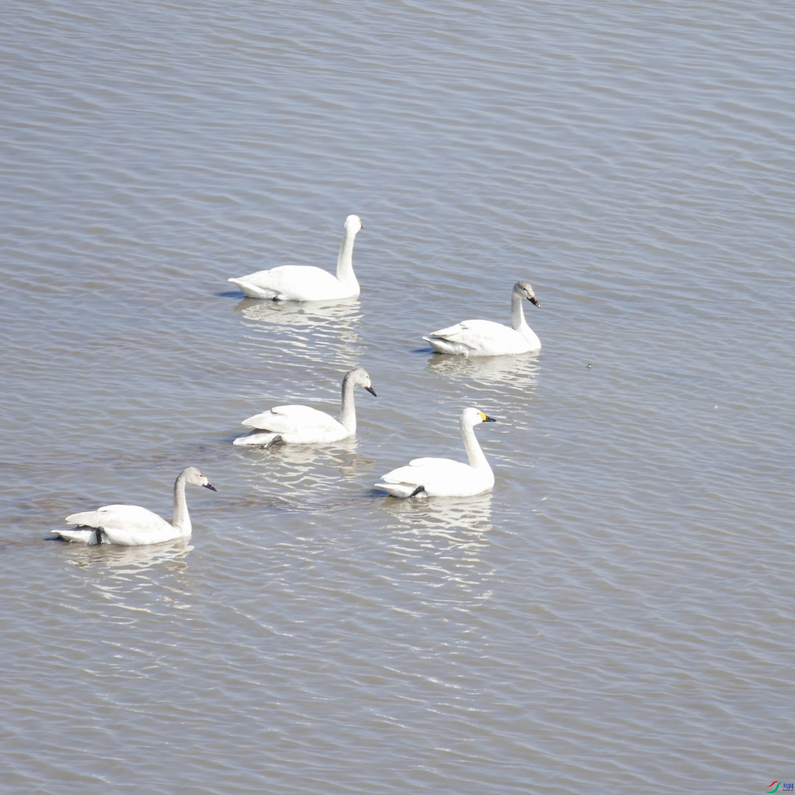 ������С P1120482.JPG