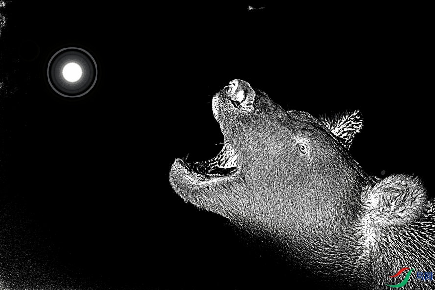 BW6I0095_����_����1_����.jpg