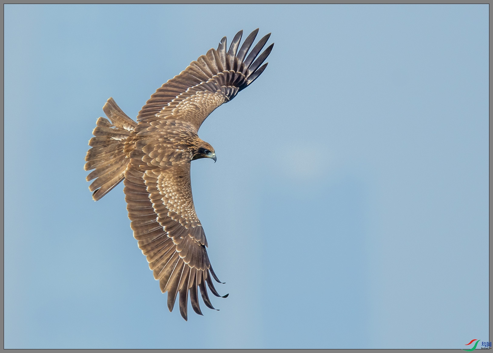 ��DSC_1385-1.jpg