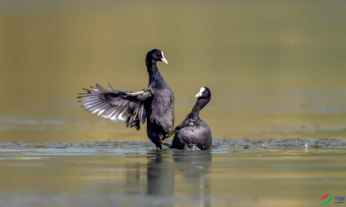 �ó���ʱ�ͳ���