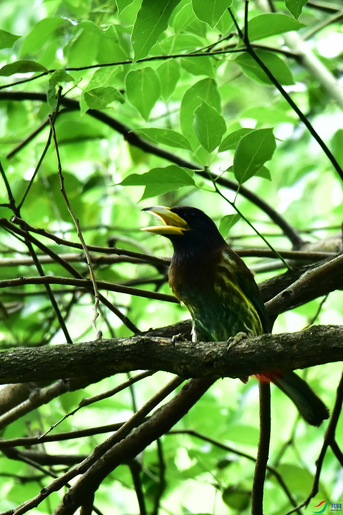 DSC_0783.JPG