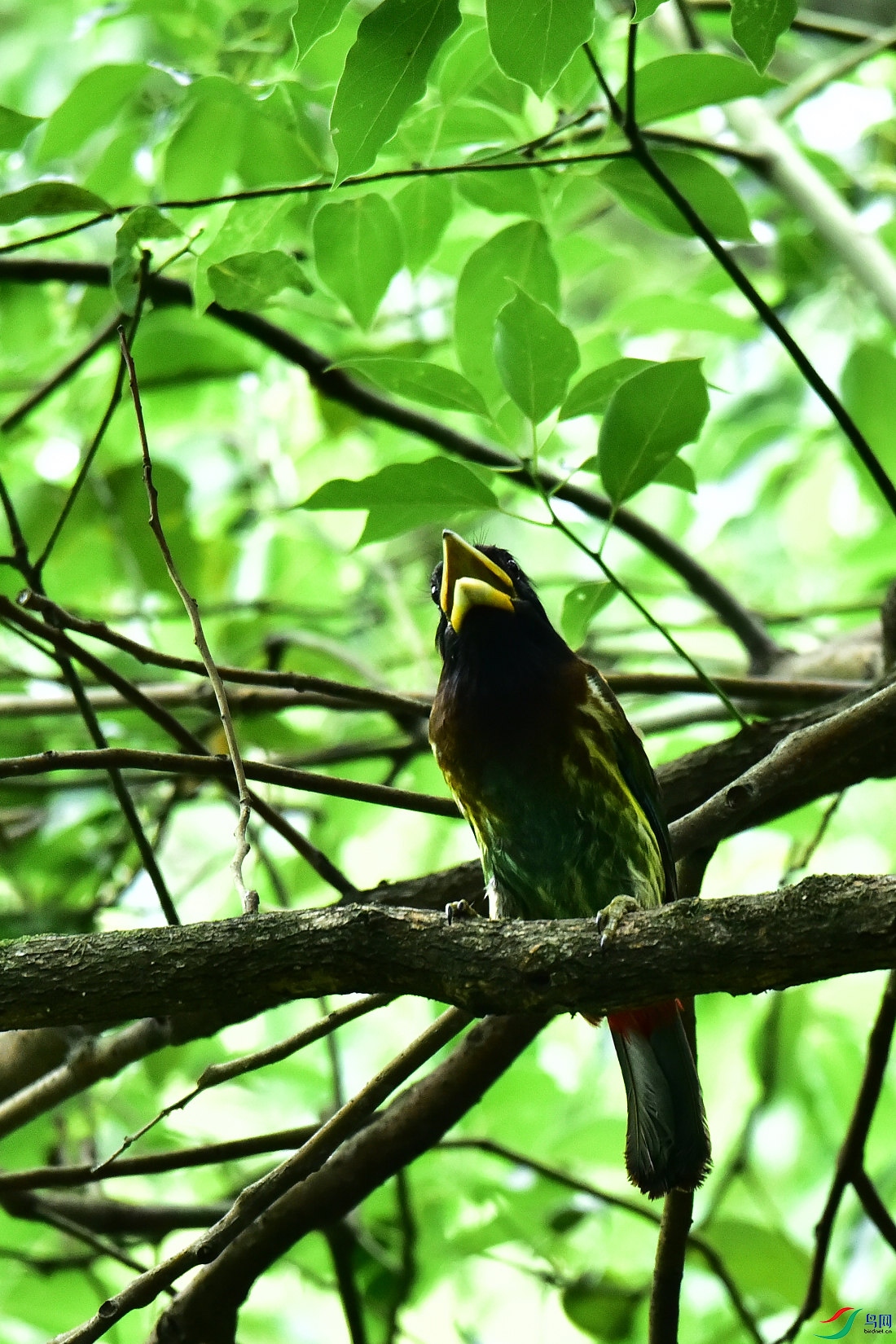 DSC_0784.JPG