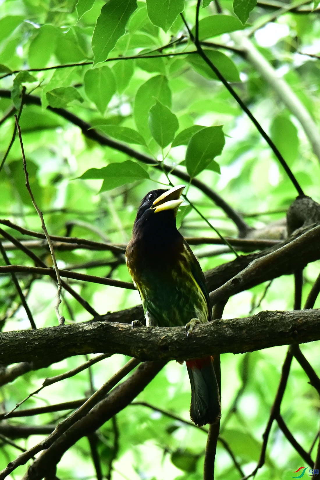 DSC_0785.JPG