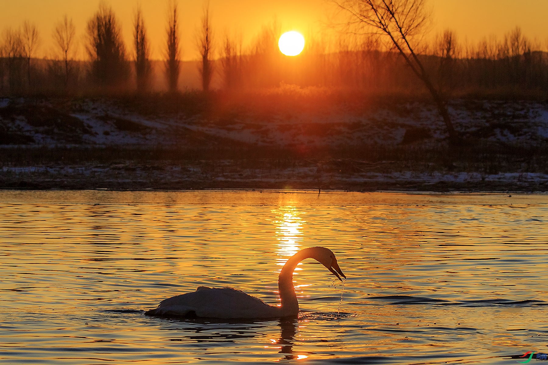 B17P9425.jpg