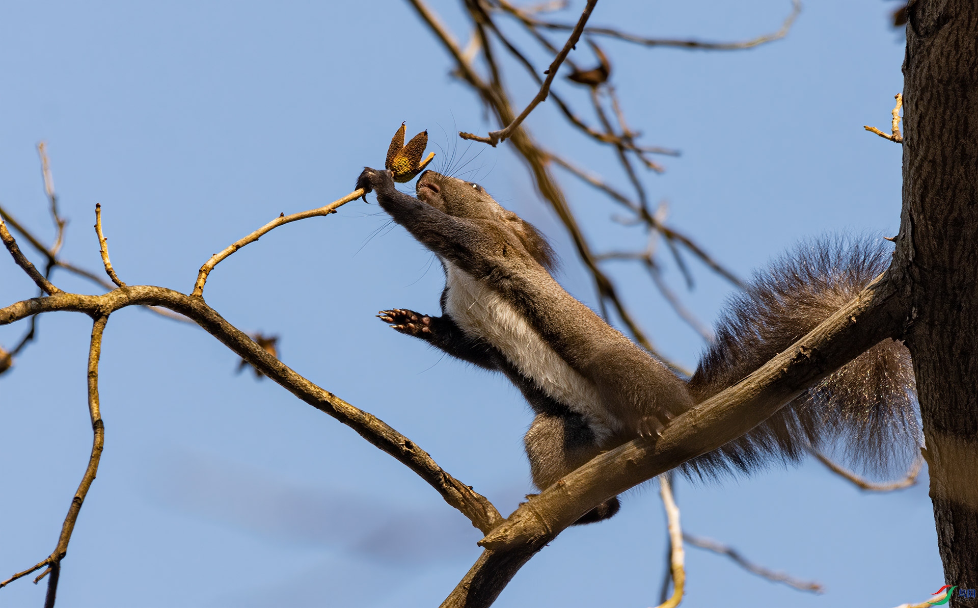 4.��Ȼ�Ǹ��տ�