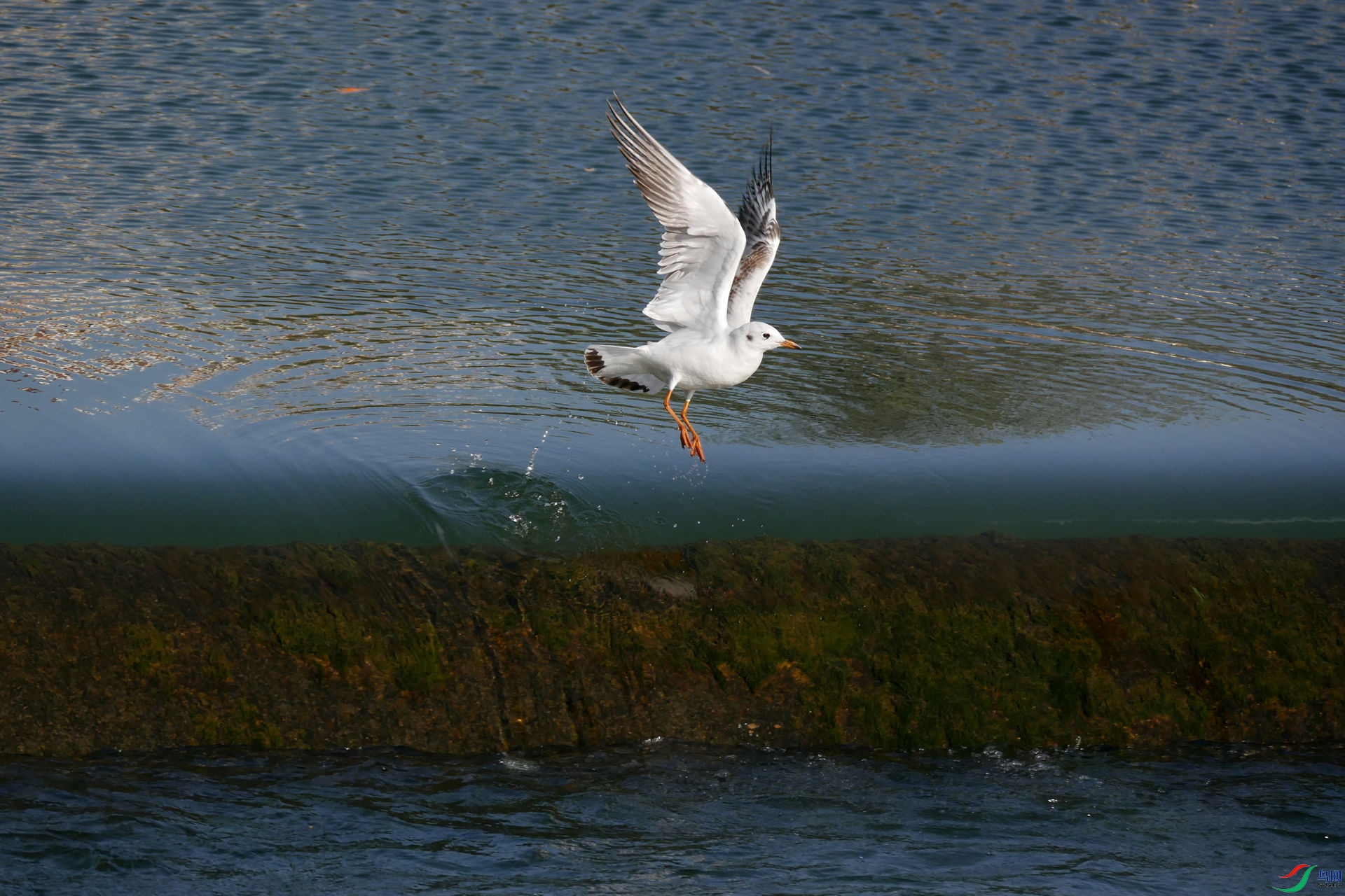 2021014.����˳�ƶ�ı