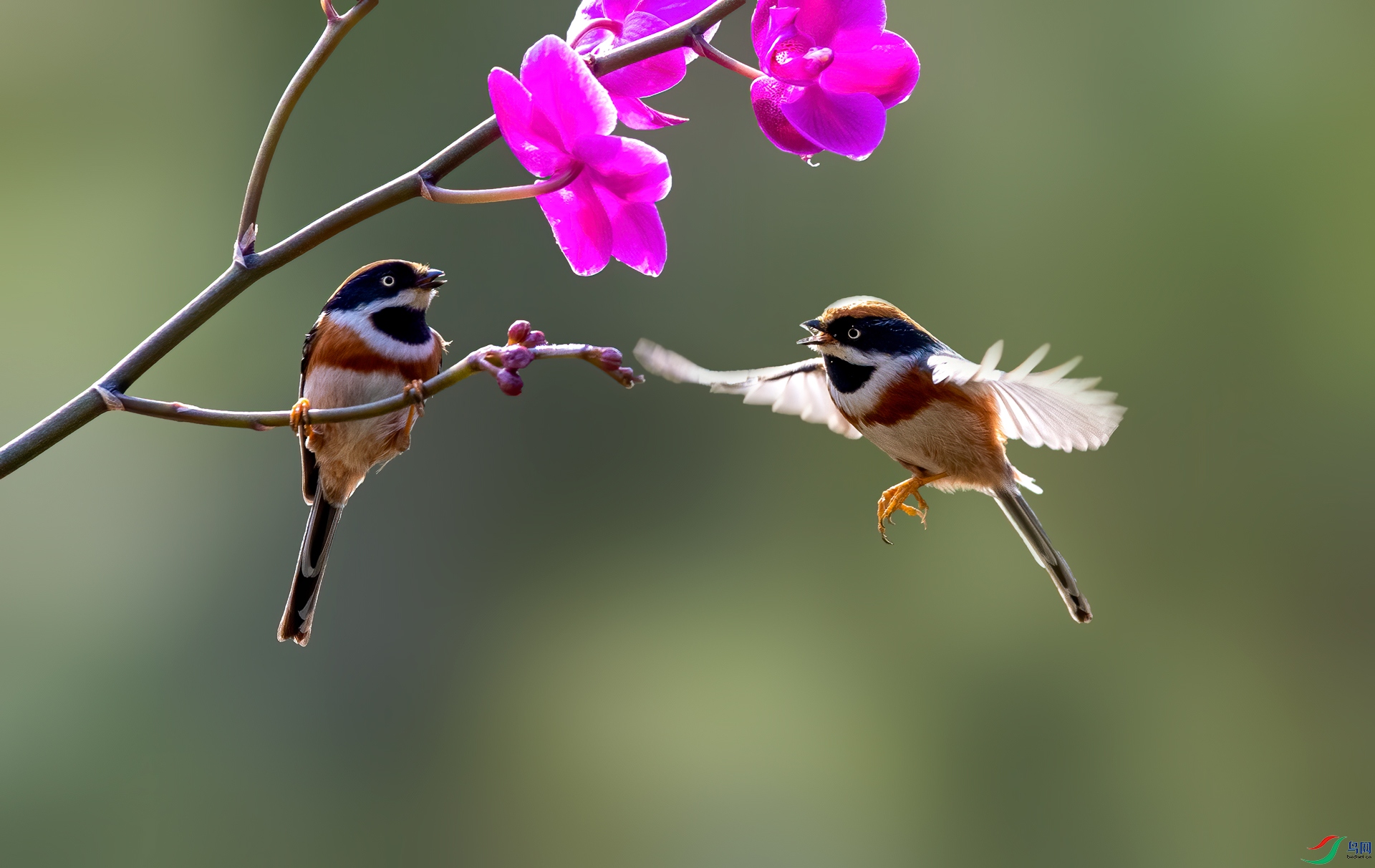 DSC_5743f.jpg